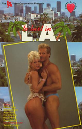 Al Amber Lynn Set 4 Box Covers (85)